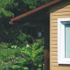 Сайдинг виниловый Timberblock Пихта Алтайская